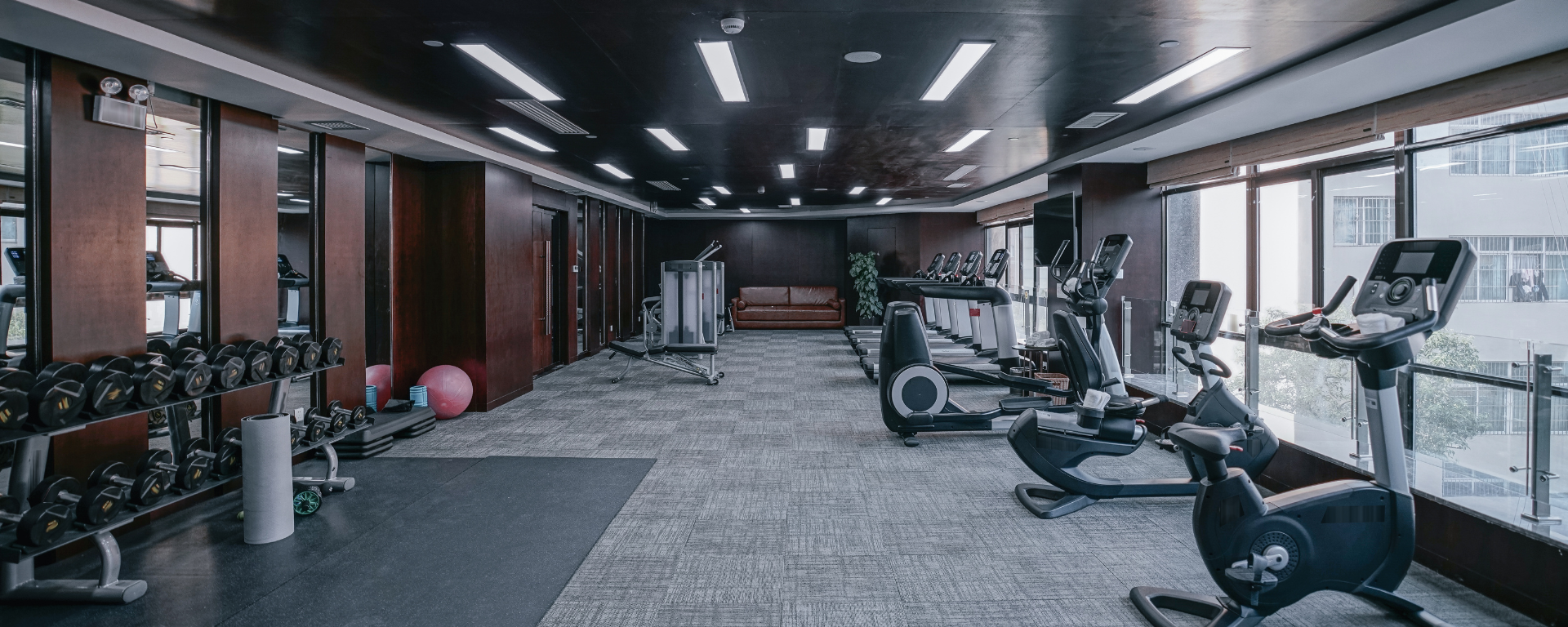 A gym with treadmills, exerise bikes, and weights.