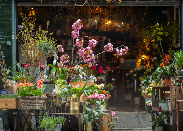 A view from the front of a florist's shop
